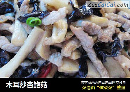 木耳炒杏鲍菇