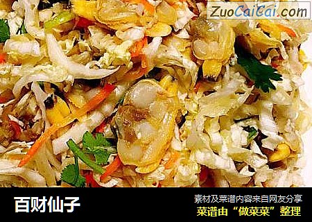 百财仙子