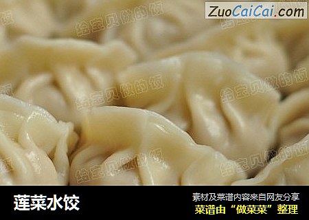 莲菜水饺