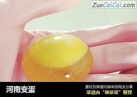 河南变蛋