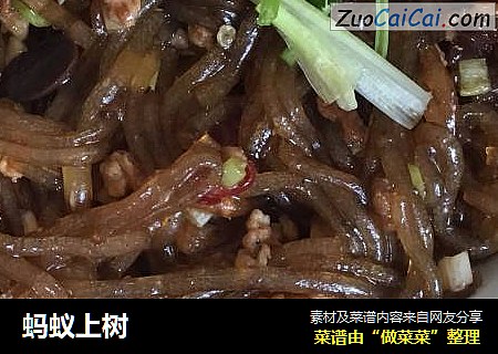 蚂蚁上树
