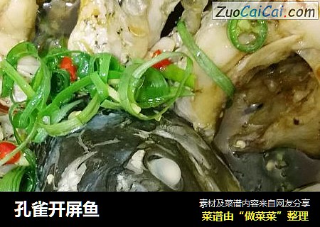 孔雀开屏鱼