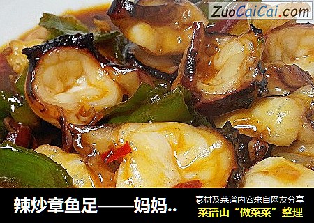 辣炒章鱼足——妈妈的味道