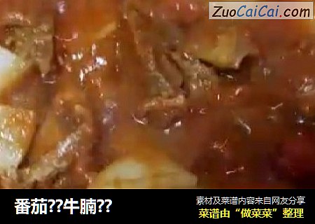 番茄??牛腩??