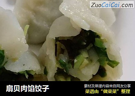 扇贝肉馅饺子