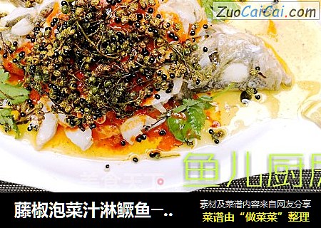 藤椒泡菜汁淋鳜鱼──“鱼儿厨房”私房菜