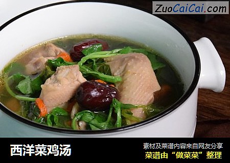 西洋菜鸡汤