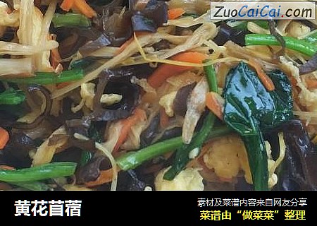 黄花苜蓿