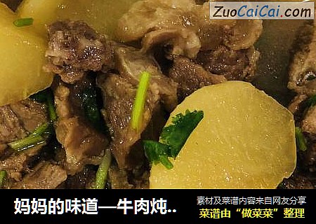 妈妈的味道—牛肉炖萝卜