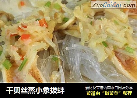 干贝丝蒸小象拔蚌