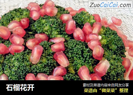 石榴花开
