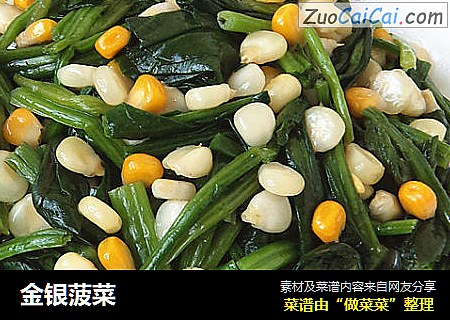 金银菠菜 