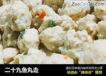 二十九鱼丸走