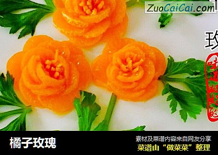 橘子玫瑰