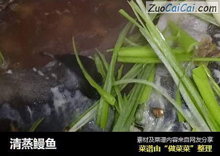 清蒸鳗鱼