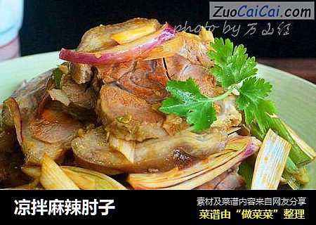 凉拌麻辣肘子