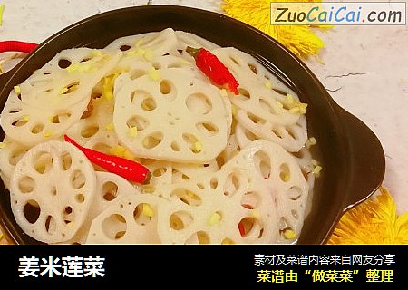 姜米莲菜