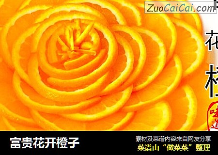 富贵花开橙子