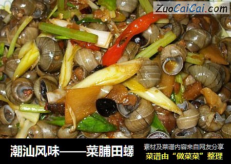 潮汕风味——菜脯田螺