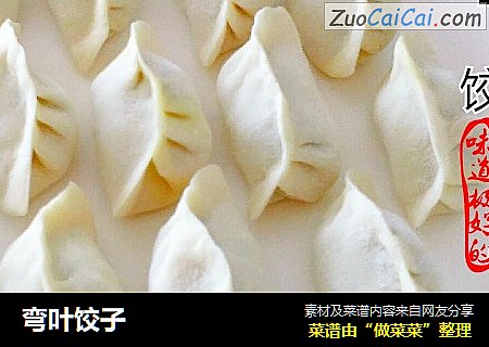 弯叶饺子