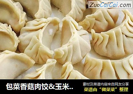 包菜香菇肉饺&玉米胡萝卜肉饺