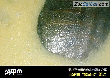 烧甲鱼