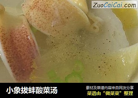 小象拔蚌酸菜汤