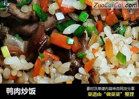 鸭肉炒饭