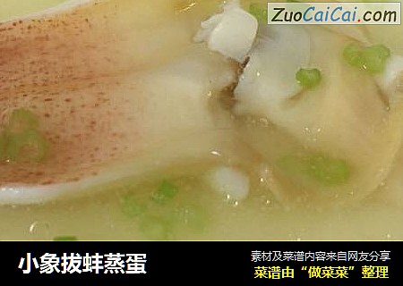 小象拔蚌蒸蛋