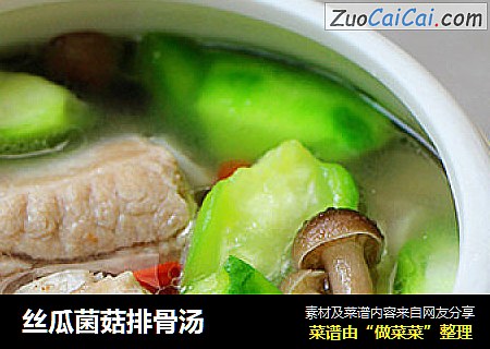 丝瓜菌菇排骨汤