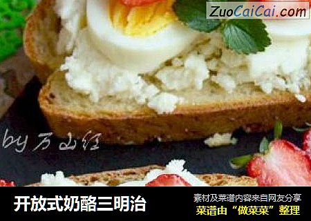 开放式奶酪三明治