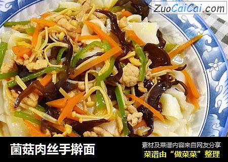 菌菇肉丝手擀面