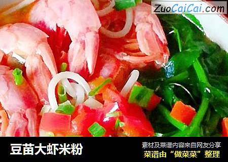 豆苗大虾米粉
