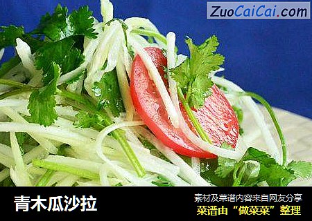 青木瓜沙拉