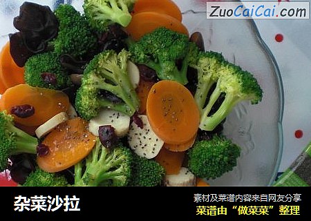 杂菜沙拉
