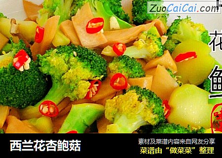 西兰花杏鲍菇
