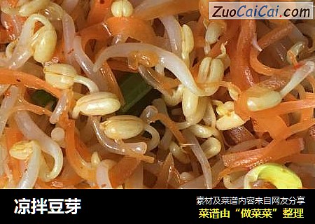 凉拌豆芽
