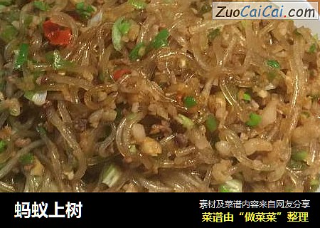 蚂蚁上树