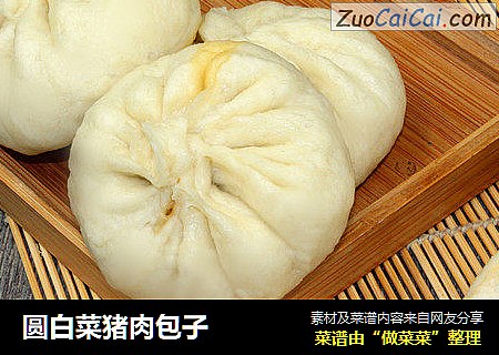 圆白菜猪肉包子