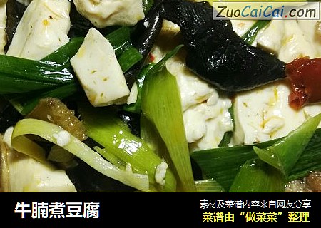 牛腩煮豆腐