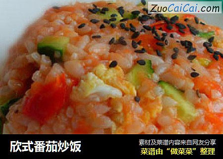 欣式番茄炒饭