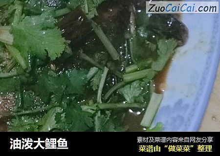 油泼大鲤鱼