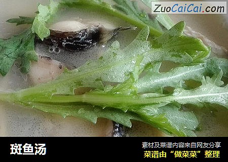 斑鱼汤