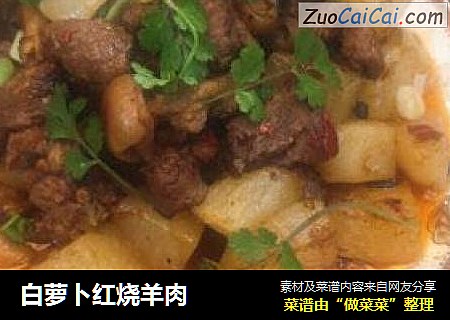 白萝卜红烧羊肉