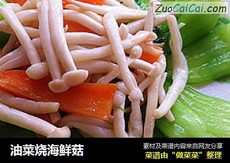 油菜烧海鲜菇