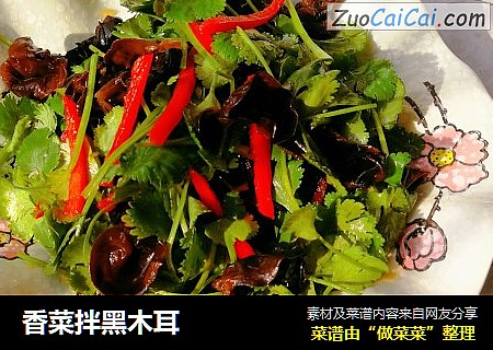 香菜拌黑木耳