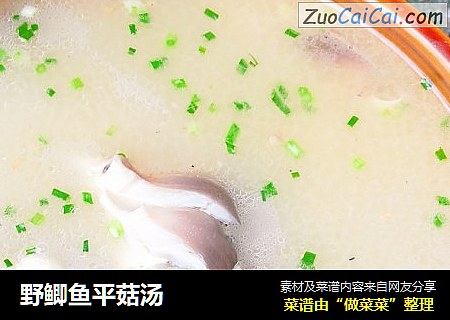 野鲫鱼平菇汤