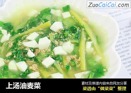 上汤油麦菜
