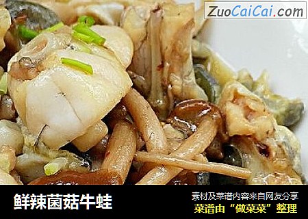 鲜辣菌菇牛蛙