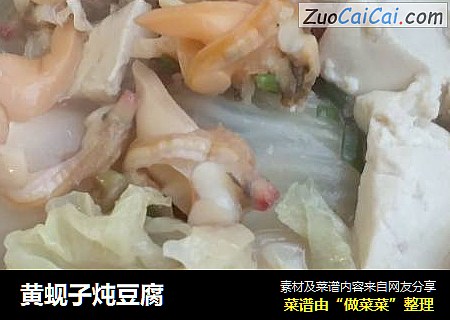 黄蚬子炖豆腐